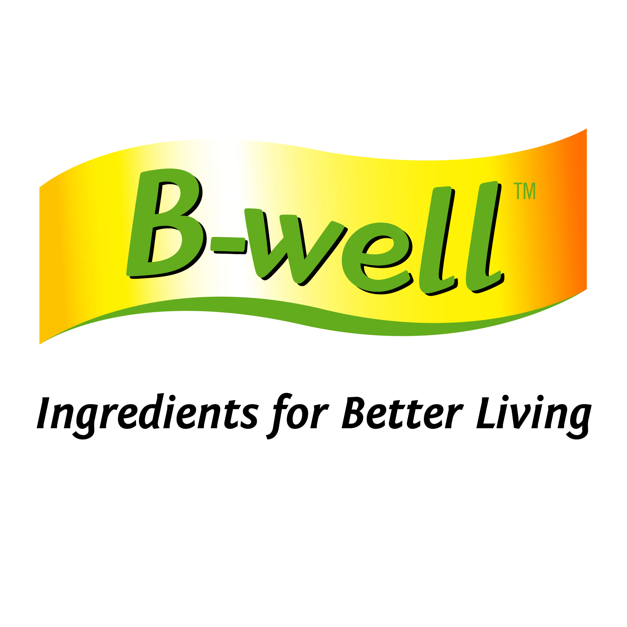 B-well (Southern Oil)